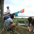 Proyecto de hortalizas San Juan