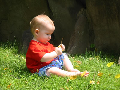 Galen contemplating nature.