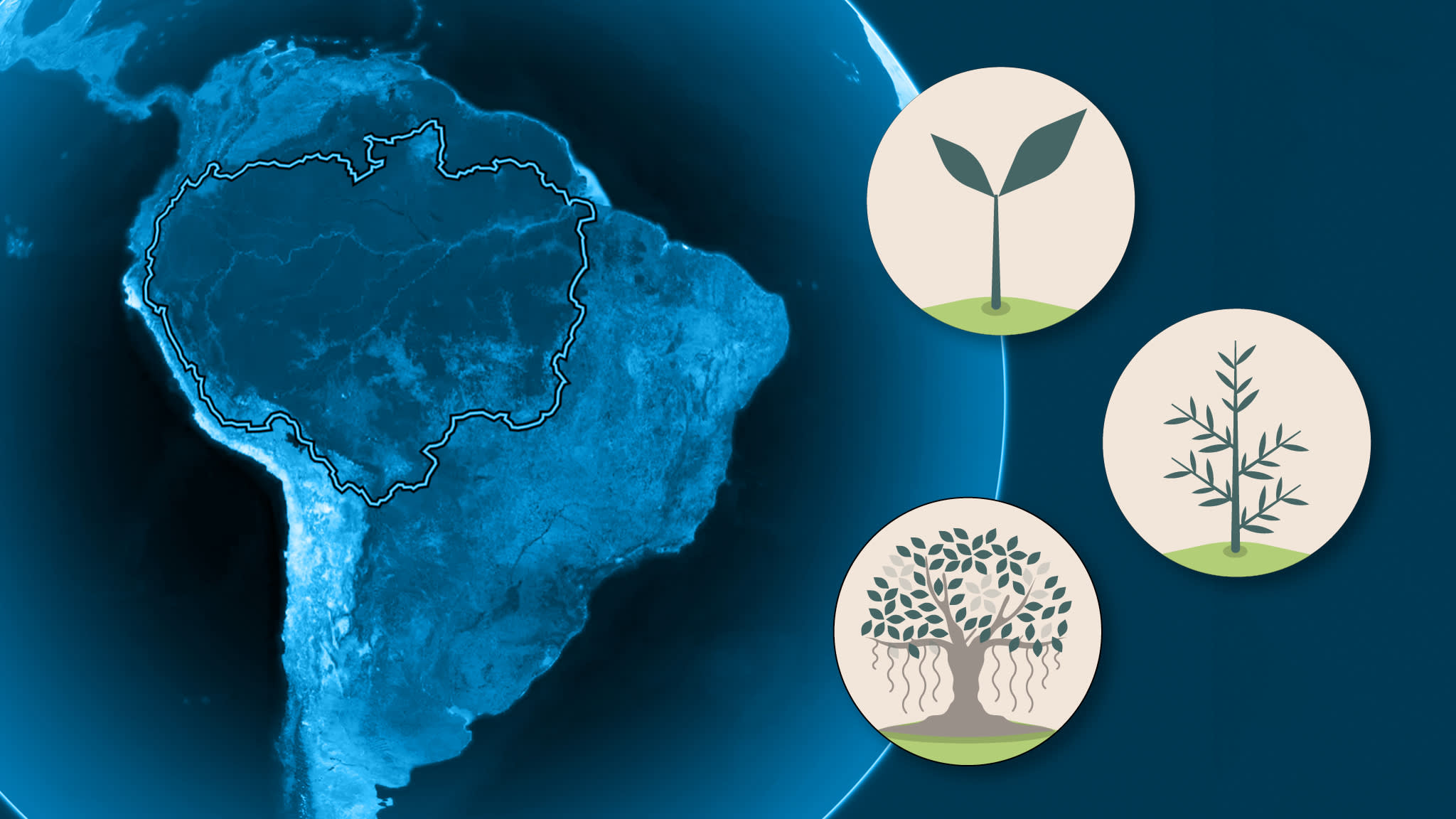 The illusion of saving the planet with a trillion trees