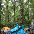 Campamento Alpahuayo Mishana Nanay River